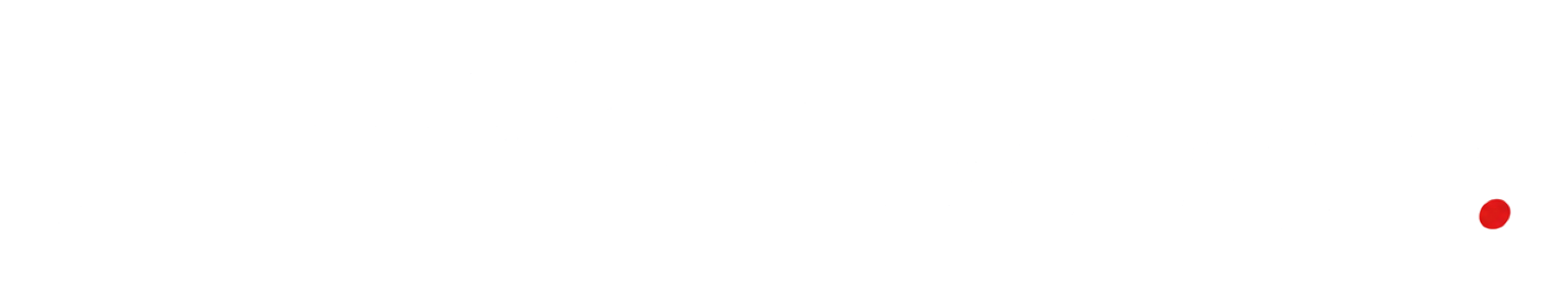 The Car Company